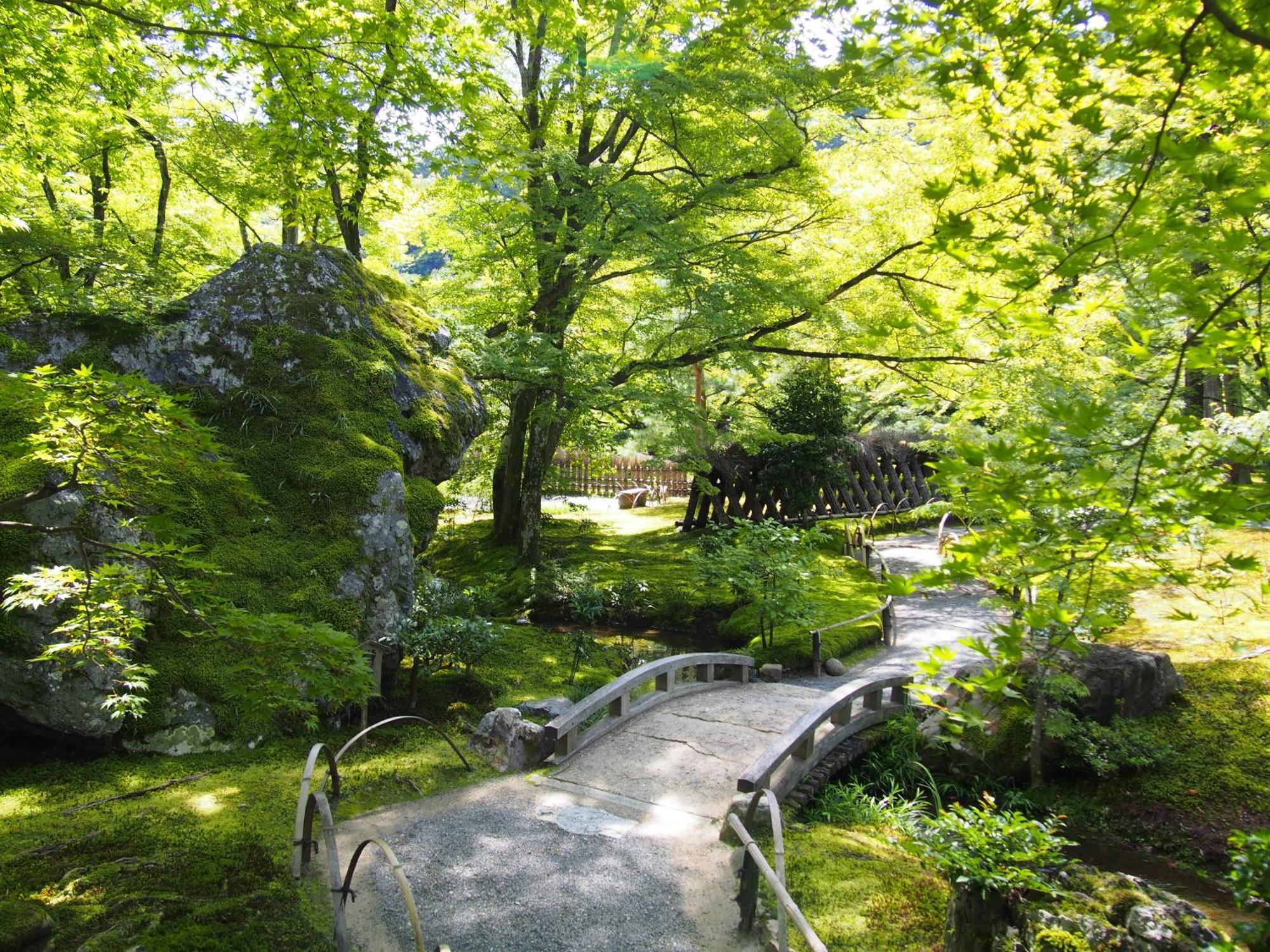 Muni Kyoto — Photos 2