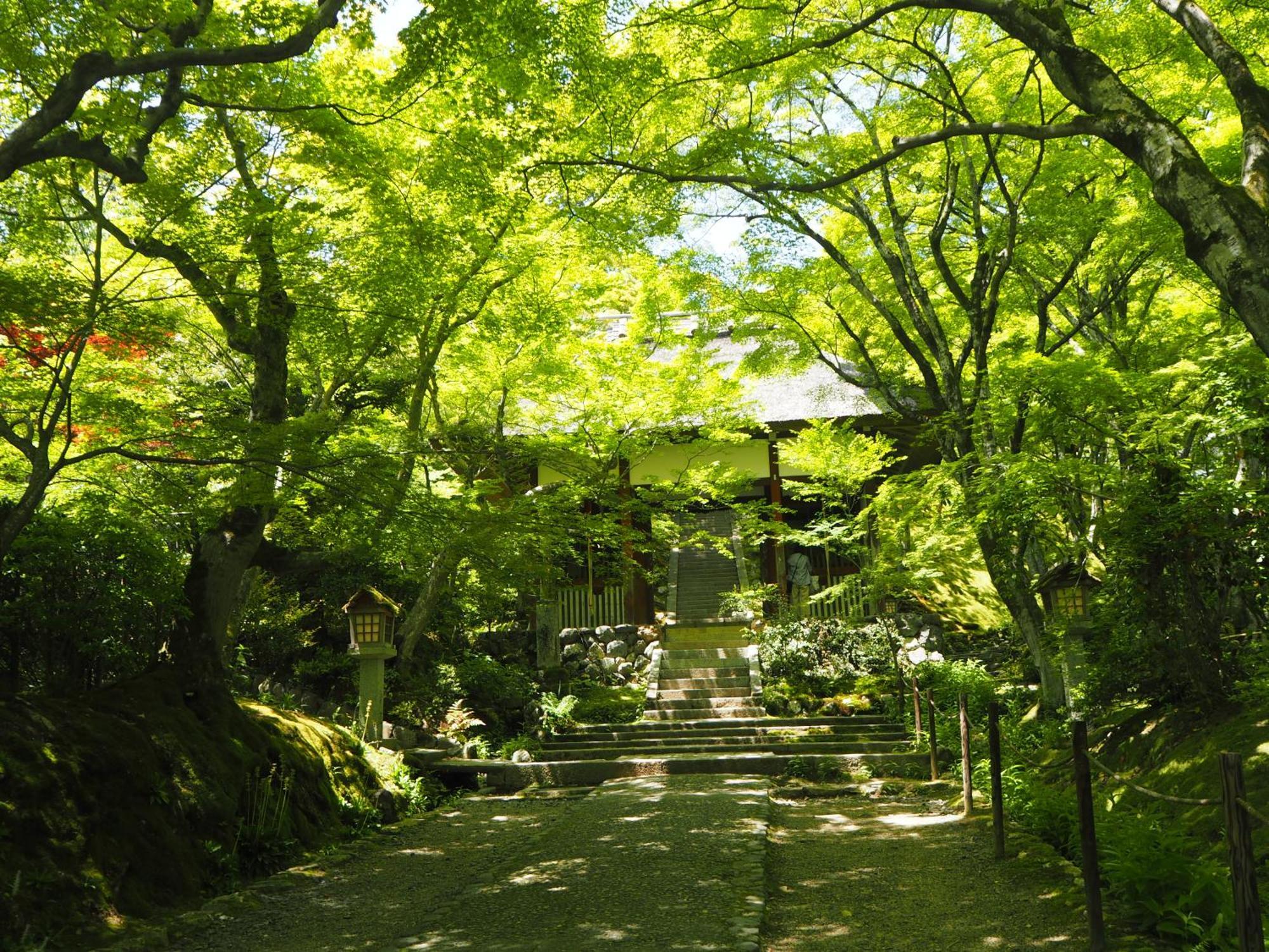 Muni Kyoto — Photos 3