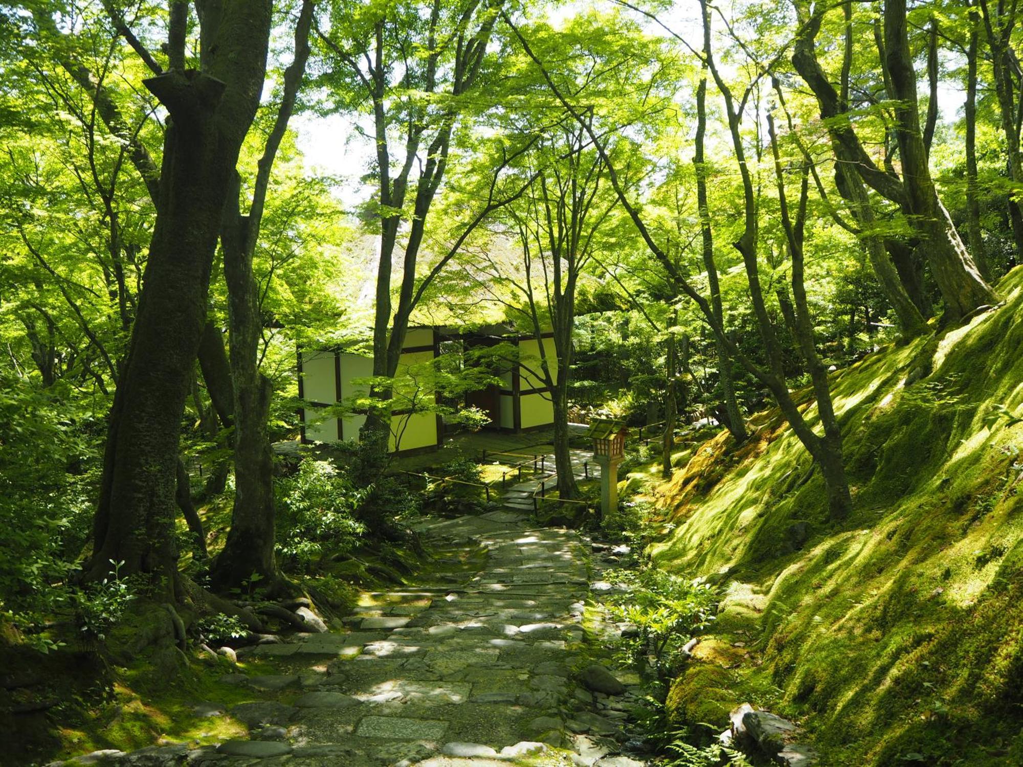 Muni Kyoto — Photos 1